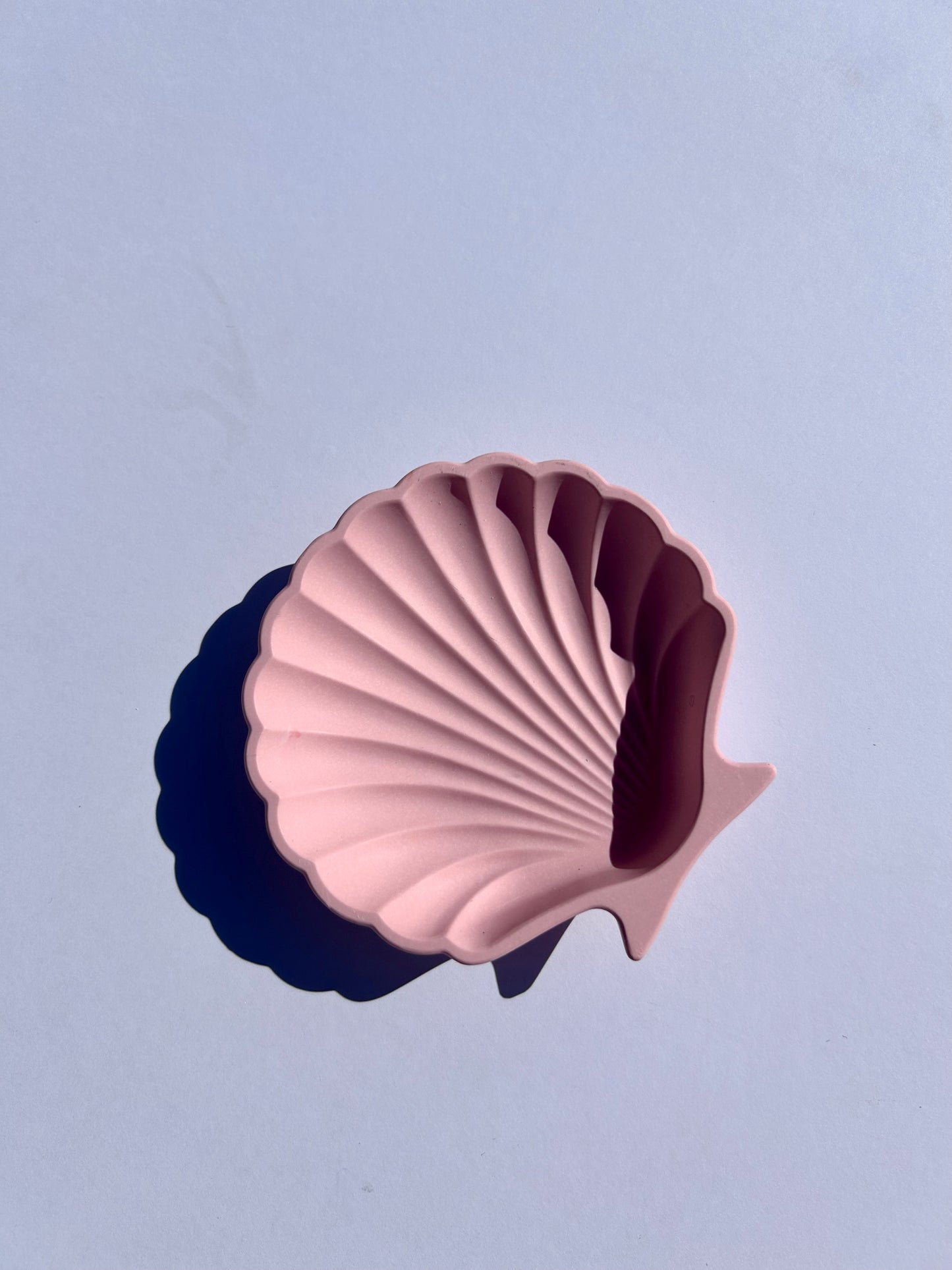 Shell Trinket